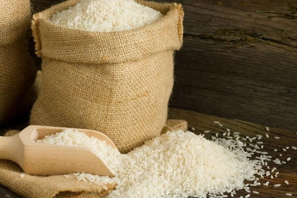 قیمت خرید برنج ایرانی چمپا عمده به صرفه و ارزان